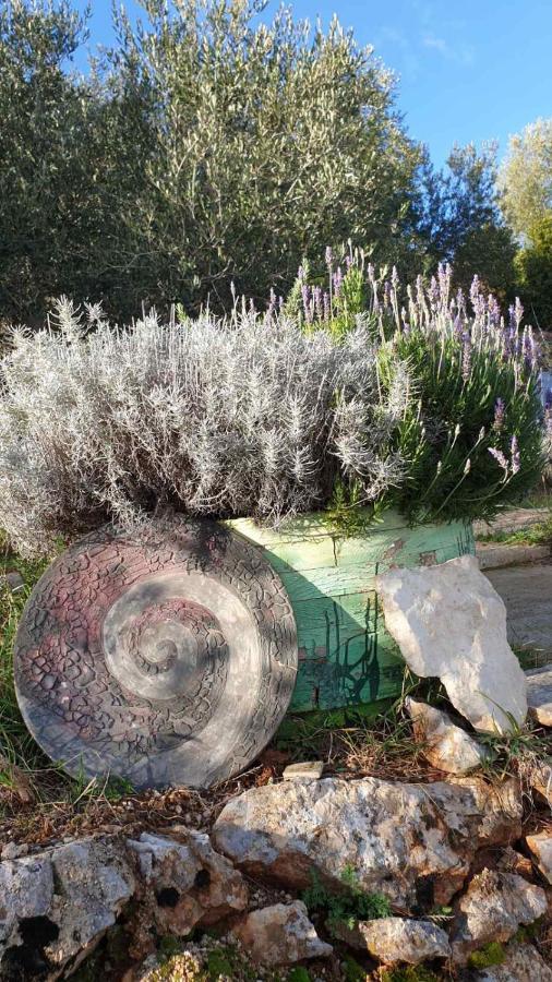 Вилла Mary'S Garden Tulisevica Экстерьер фото
