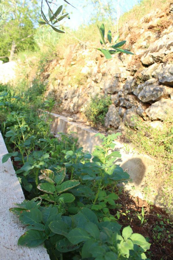 Вилла Mary'S Garden Tulisevica Экстерьер фото