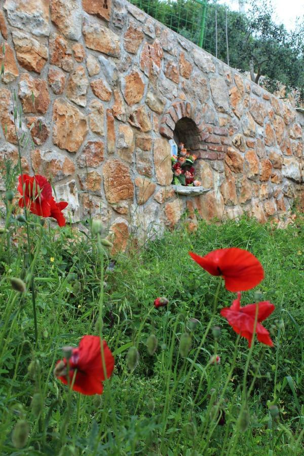 Вилла Mary'S Garden Tulisevica Экстерьер фото